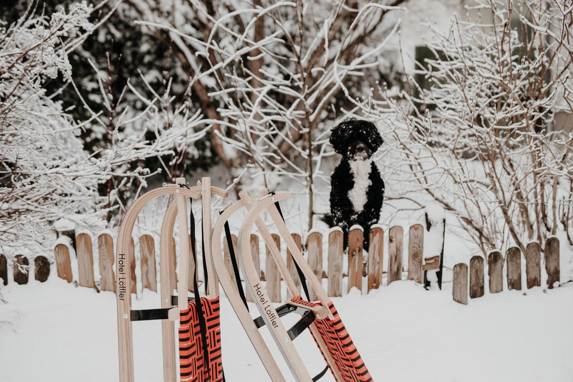 Der Loeffler Am Semmering Bed&Breakfast Εξωτερικό φωτογραφία