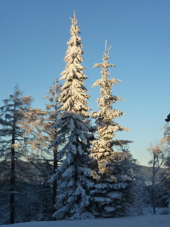 Der Loeffler Am Semmering Bed&Breakfast Εξωτερικό φωτογραφία
