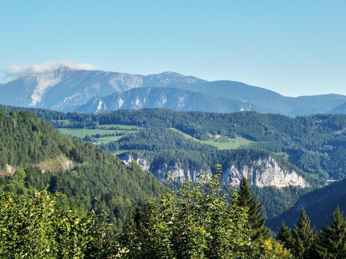 Der Loeffler Am Semmering Bed&Breakfast Εξωτερικό φωτογραφία