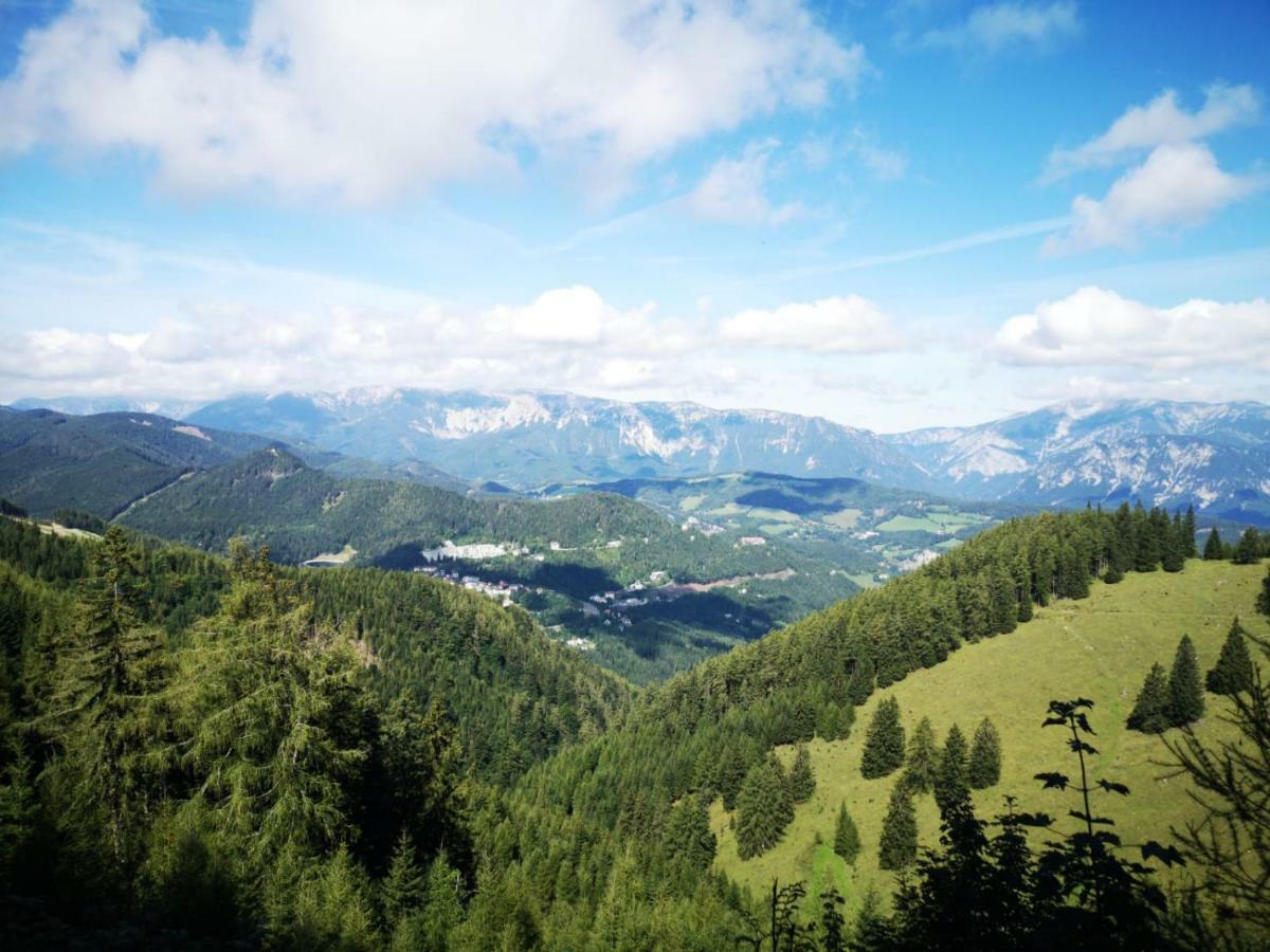 Der Loeffler Am Semmering Bed&Breakfast Εξωτερικό φωτογραφία